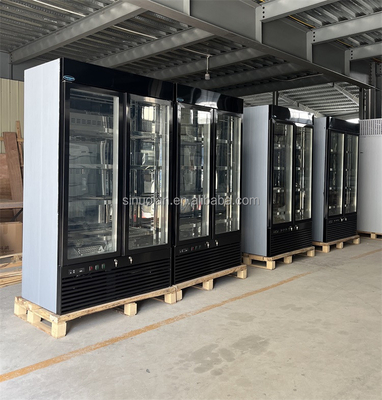 3 Layers Of Anti-Fog Glass Dry Aged Meat Cabinet Refrigerator Age Meat Steak Locker Dry Ager Aging Machine