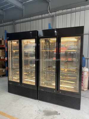 SINUOLAN Factory Commercial Dry Ager Meat Refrigerator Glass Door Age Meat Aging Customized Size Available