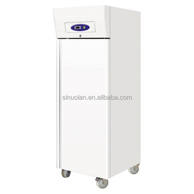 Luxury Commercial Vertical Refrigerator Dual-temperature Refrigerator Kitchen Equipment Freezer Refrigerator