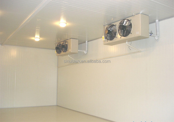 Restaurant Commercial Walk In Cabbage Garlic Carrot Lettuce Apple Pear Cold Storage Room Refrigerator Warehouse