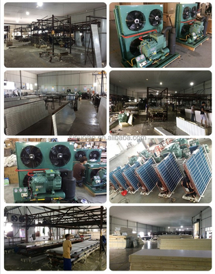 Top Selling Storage Refrigeration Cooler Rooms Walk-in Deep Freezer Cold Room For Seafood