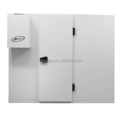 Swing Glass Sliding Door For Cold Room Cold Storage With Fireproof Insulated Rock Wool Sandwich Panel