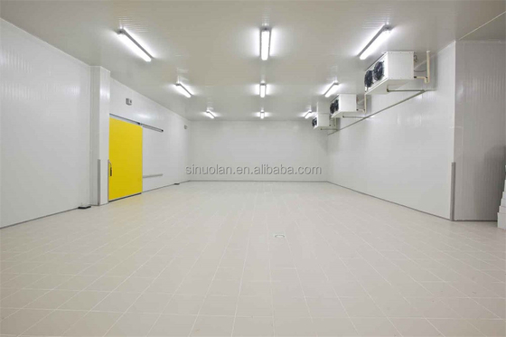 Industrial Refrigerated Cold Room Frozen Cold Storage Room For Meat And Fish Freezer