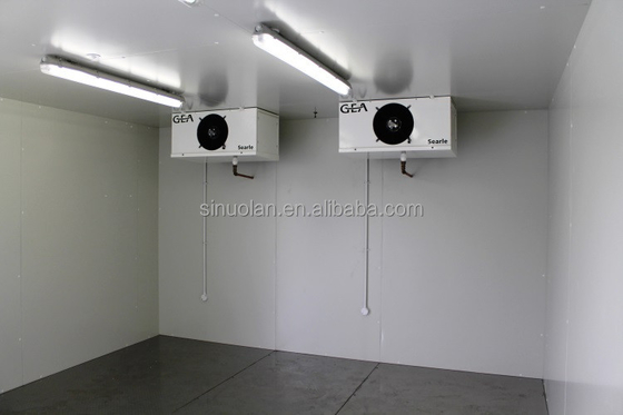 Industrial Refrigerated Cold Room Frozen Cold Storage Room For Meat And Fish Freezer